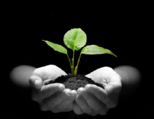 Image for How Inbound Marketing Helps You Grow Your Business