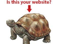 Image for How Slow Loading Websites can Affect Your Traffic