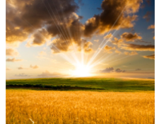 Image for Builders and Remodelers Must Sow Quality Content to Reap Customers