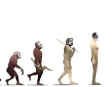 Image for How Builders Can Keep Up with the Ever-Evolving SEO