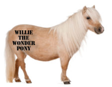 Image for Integrated Marketing: Why Being a One-Trick Pony Isn’t Good Enough
