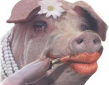 Image for Does Redesigning Your Website Really Matter? (Or Is It Just Putting Lipstick On a Pig?)