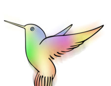 Image for How To Benefit From Google’s New Hummingbird Update