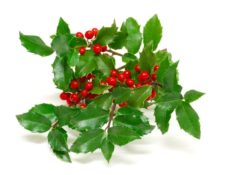 Image for Deck the Halls With Landing Pages For 2014 Lead Generation